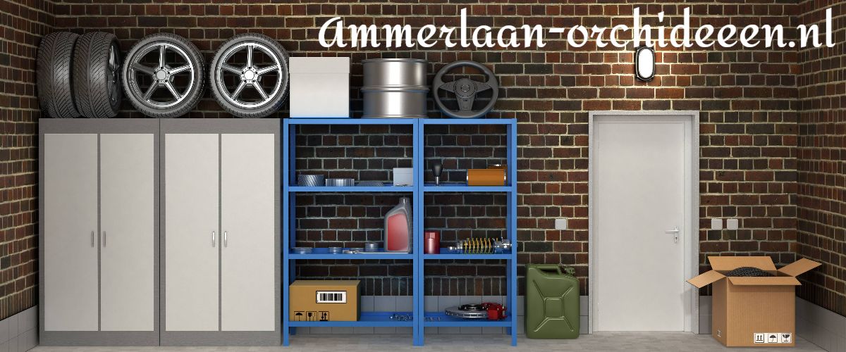 ammerlaan-orchideeen.nl